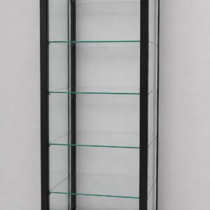 Acrylic Display Stand with RGB Lights